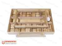 Развивающий модуль психолога №8 «Письмо и грамота»