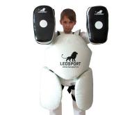 Комплект защиты Рыцарь №2 (с Тай-Падами) (тент)