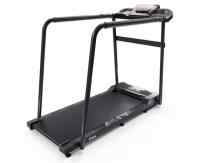 Беговая дорожка DFC Cora T165