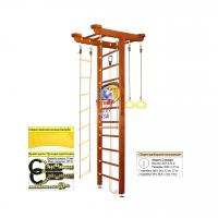 Шведская стенка Kampfer Big Sport Ceiling Basketball Shield (№4 Вишневый Стандарт)