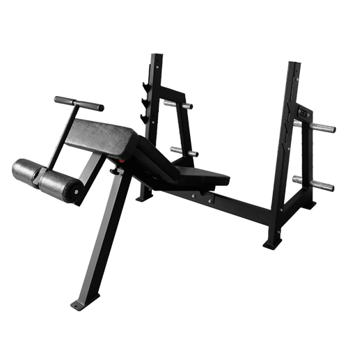 BRONZE GYM AL-306 Скамья для жима под углом вниз