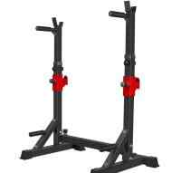 Стойка под штангу с брусьями 3 в 1 DFC AKYEN