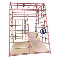 ДСК Вертикаль Весёлый Малыш NEXT (розовый) горка мягкий бортик