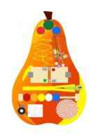 Груша. Серия «Фрукты»