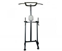 Стойка для подтягиваний DFC VT-7003