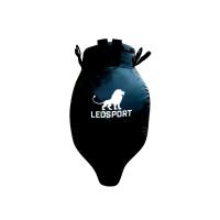 Мешок боксерский Апперкот Стропа Master Plus Тент