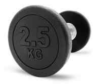 Гантель UNIX Fit PRO круглая обрезиненная 2,5 кг