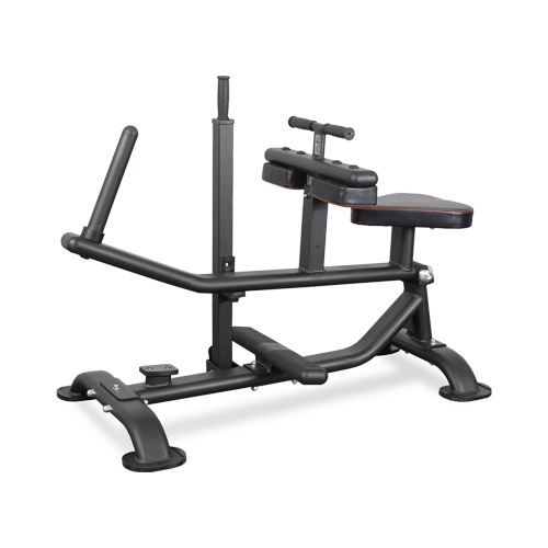 BRONZE GYM PL-1719 Голень сидя