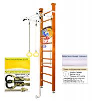 Шведская стенка Kampfer Helena Ceiling Basketball Shield (№3 Классический Стандарт белый турник)