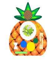 Ананас. Серия «Фрукты»