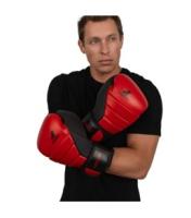 Перчатки боксерские Premium