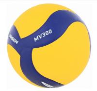 Мяч волейбольный Larsen MV300