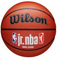 Мяч баскетбольный Wilson JR. NBA Fam Logo Indoor Outdoor WZ2009801XB6, размер 6