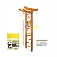 Шведская стенка Kampfer Big Sport Ceiling Basketball Shield (№3 Классический Стандарт)