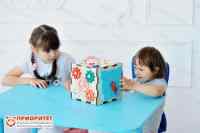 Бизикуб «Полезная игра»