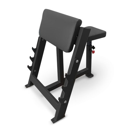 BRONZE GYM  AL-303 Скамья Скотта