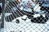 Сетка хоккейная