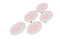 Полоса препятствий детская "Следы животных - Заяц", сложность 1