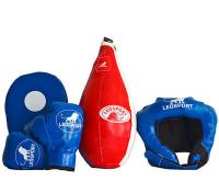 Набор д/нач. спортсмена N 8: груша "Львенок", перчатки детские, шлем боксерский детский, лапа детская