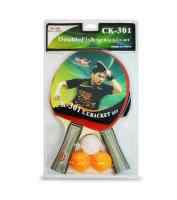 Набор DOUBLE FISH 2 ракетки, 3 мяча (301)