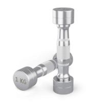 Гантель UNIX Fit PRO круглая хромированная 1 кг, 2 шт.