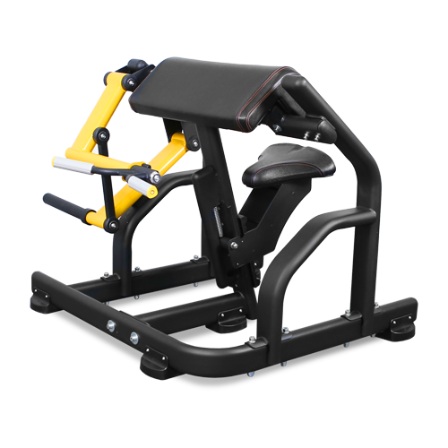 BRONZE GYM PL-1713 Бицепс