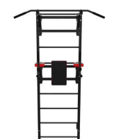 Шведские стенки + Шведская стенка с опциями DFC Lite VT-6007 (D-123) / профиль 1,5 мм