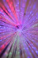 Фиброоптические изделия + Световая каскадирующая трубка "Фонтан" в платформе 60х60 см