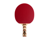 Ракетки для настольного тенниса + Ракетка DONIC Testra Premium