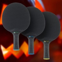 Ракетки для настольного тенниса + Ракетка DONIC Style 800 Schläger Outdoor