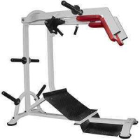 Тренажеры силовые нагружаемые дисками + Тренажер для бедер и икроножных мышц ТД-0800-D