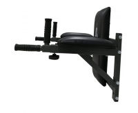 Брусья настенные + Брусья настенные DFC Homegym G294