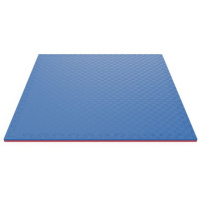 Напольные покрытия для зала + Будо-мат EVA DFC 100 x 100 см, 20 мм, цвет сине-розовый