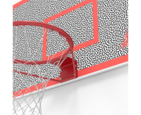 Баскетбольные щиты + Баскетбольный щит DFC BOARD44M