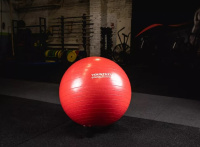 Фитболы, прыгуны + Гимнастические мячи HARD