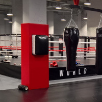 Подушки боксерские + Классическая подушка ПВХ WB4