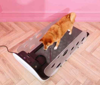 Беговые дорожки + Беговая дорожка Yesoul для собак