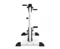 Велотренажеры + Велотренажер двойной электропривод DFC B830 Dual Bike