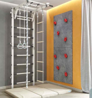 Шведские стенки + СК Спортивный комплекс "Romana усиленный +" (11.05-01) белый муар