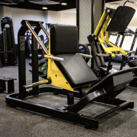 Тренажеры силовые нагружаемые дисками + BRONZE GYM PL-1706 Голень-машина