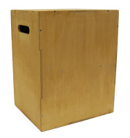 Функциональный тренинг + Плиобокс 75*60*50 BRONZE GYM PARTNER FL-13