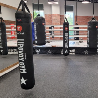 Мешки боксёрские + Мешок боксерский Наппа 180х35 эко премиум