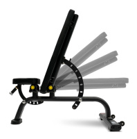 Скамьи + Универсальная регулируемая скамья BRONZE GYM BR-1001