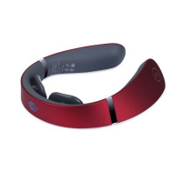 Массажеры для тела + Шейный массажёр PG-2601B19