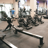 Гребные тренажеры + Гребной тренажер коммерческий BRONZE GYM RW1100M PRO