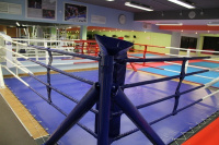 Боксерские ринги + Ринг боксерский, напольный на упорах IMP-E429/ IMP-E430/ IMP-E431