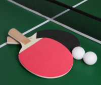 Бильярдные столы + Бильярдный стол Fortuna Пул 4фт 9 в 1 с комплектом аксессуаров