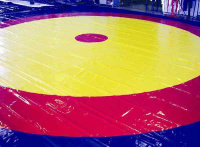 Борцовские ковры и маты + Ковер борцовский трехцветный 12х12м, наполнитель матов ППЭ+НПЭ 180кг/м3, толщина 4см