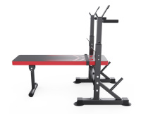 Скамьи + Скамья со стойками под штангу DFC GLFERA 408C