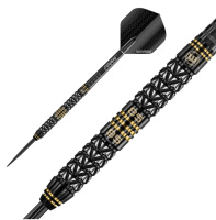 Дротики + Гибридные дротики Winmau Aspria Dual Core steeltip 24gr (профессиональный уровень)
